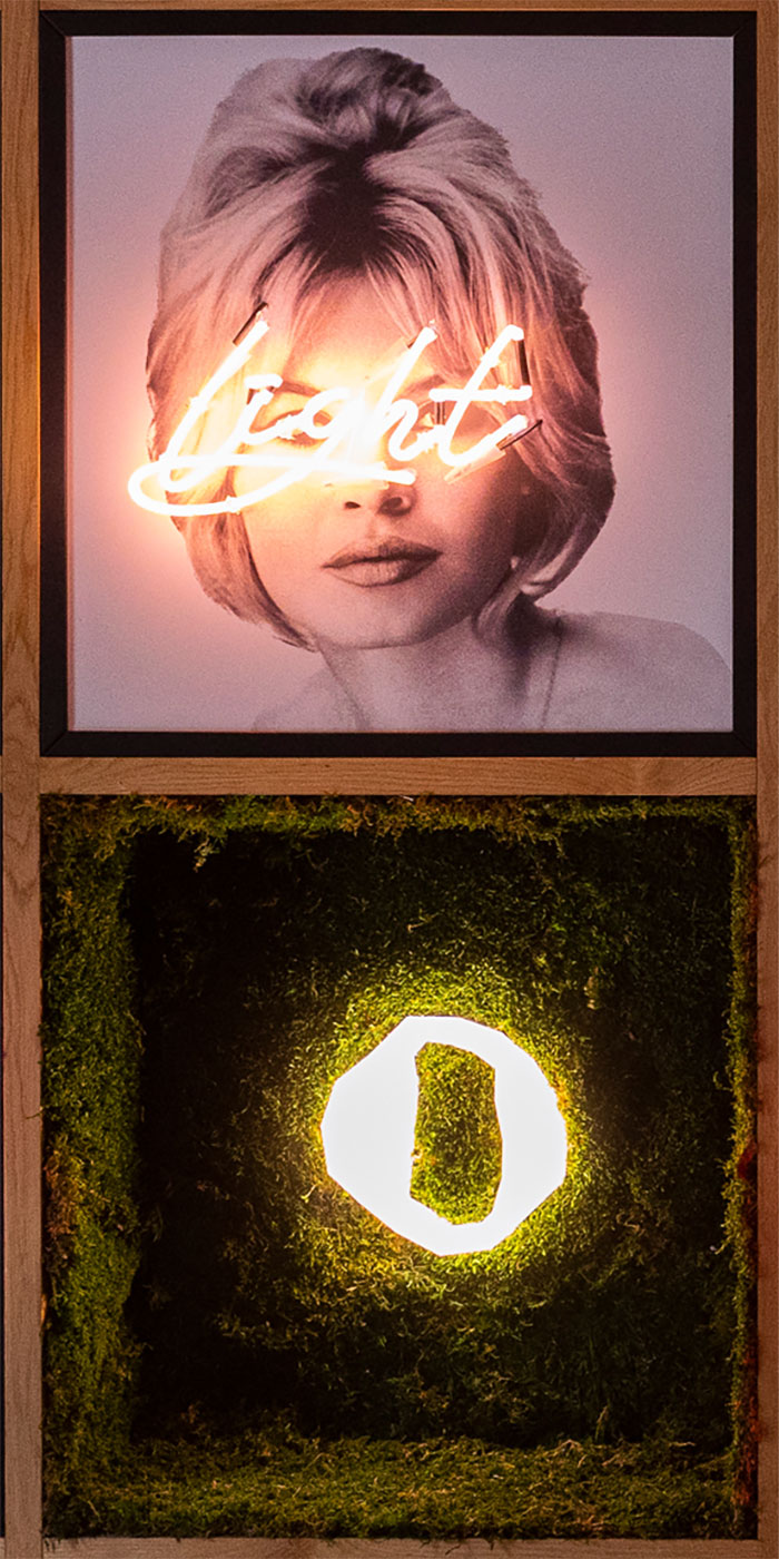 Come on Baby light my fire - Pared vegetal para restaurante